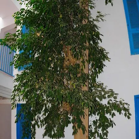 Costa Volcan Hotel